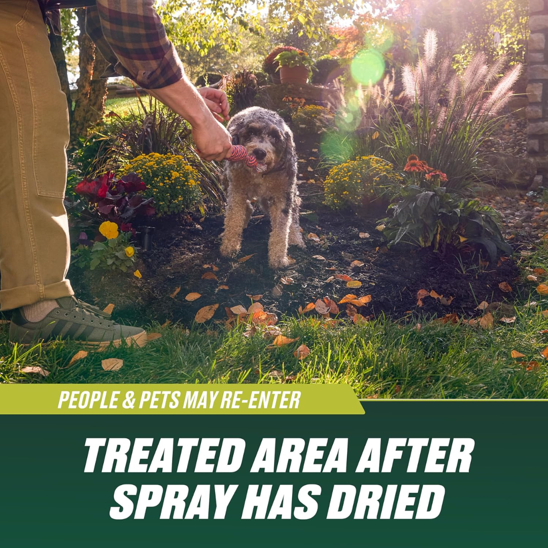 Trial Size Ortho Nutsedge Spray Refill for Lawns, 100 ml