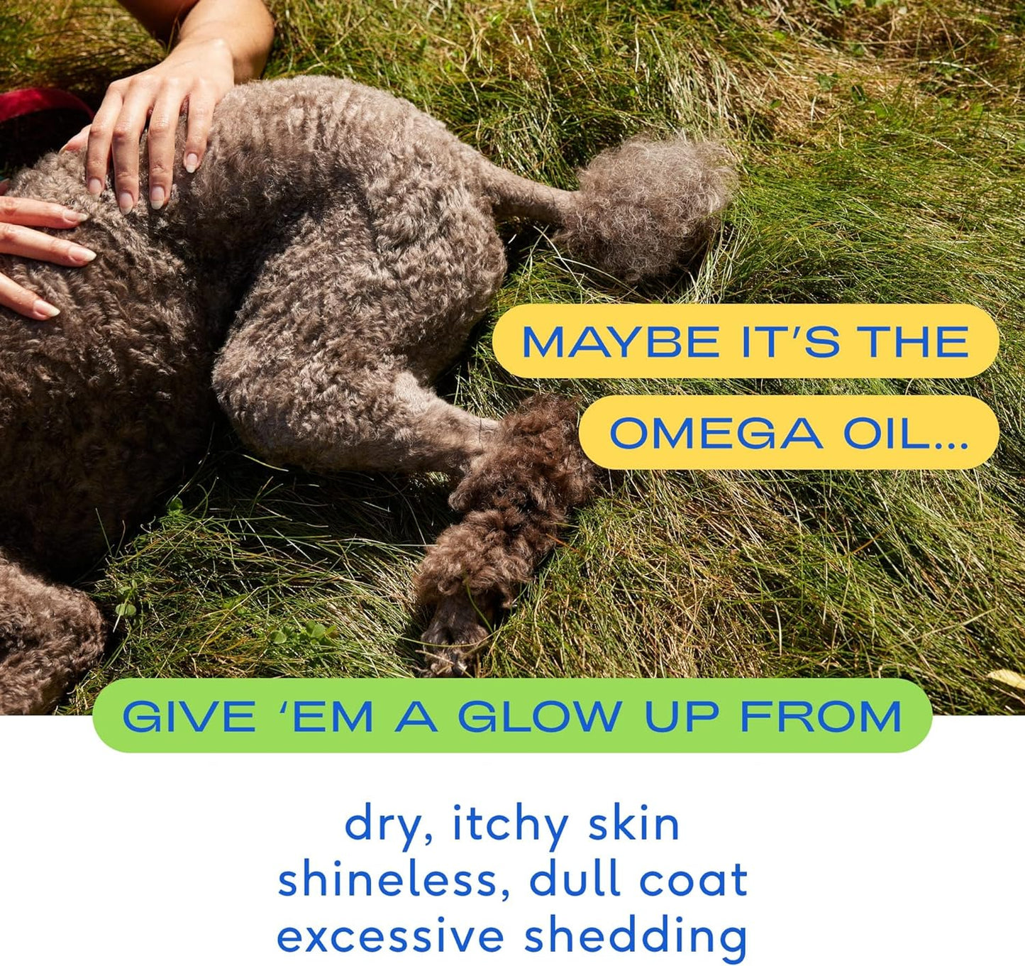 Native Pet Omega Oil Promotes Skin, Coat & Joint Health 8 fl oz / 236ml