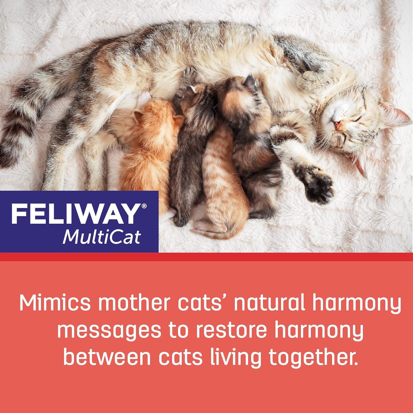 Feliway MultiCat Refills For Diffuser Calming and Comfort - 3 Refilss (1.6 fl oz / 48ml Each)
