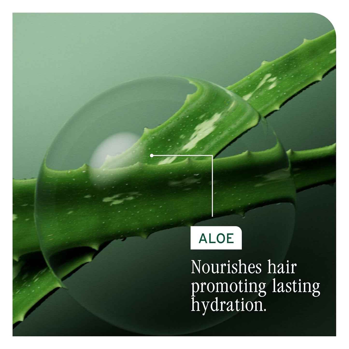 Biolage Professional Hydra Source Shampoo for Dry Hair, 13.5 fl. oz. / 400 ml