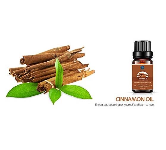Lagunamoon 100% Pure Essential Oil 10ml (Cinnamon)