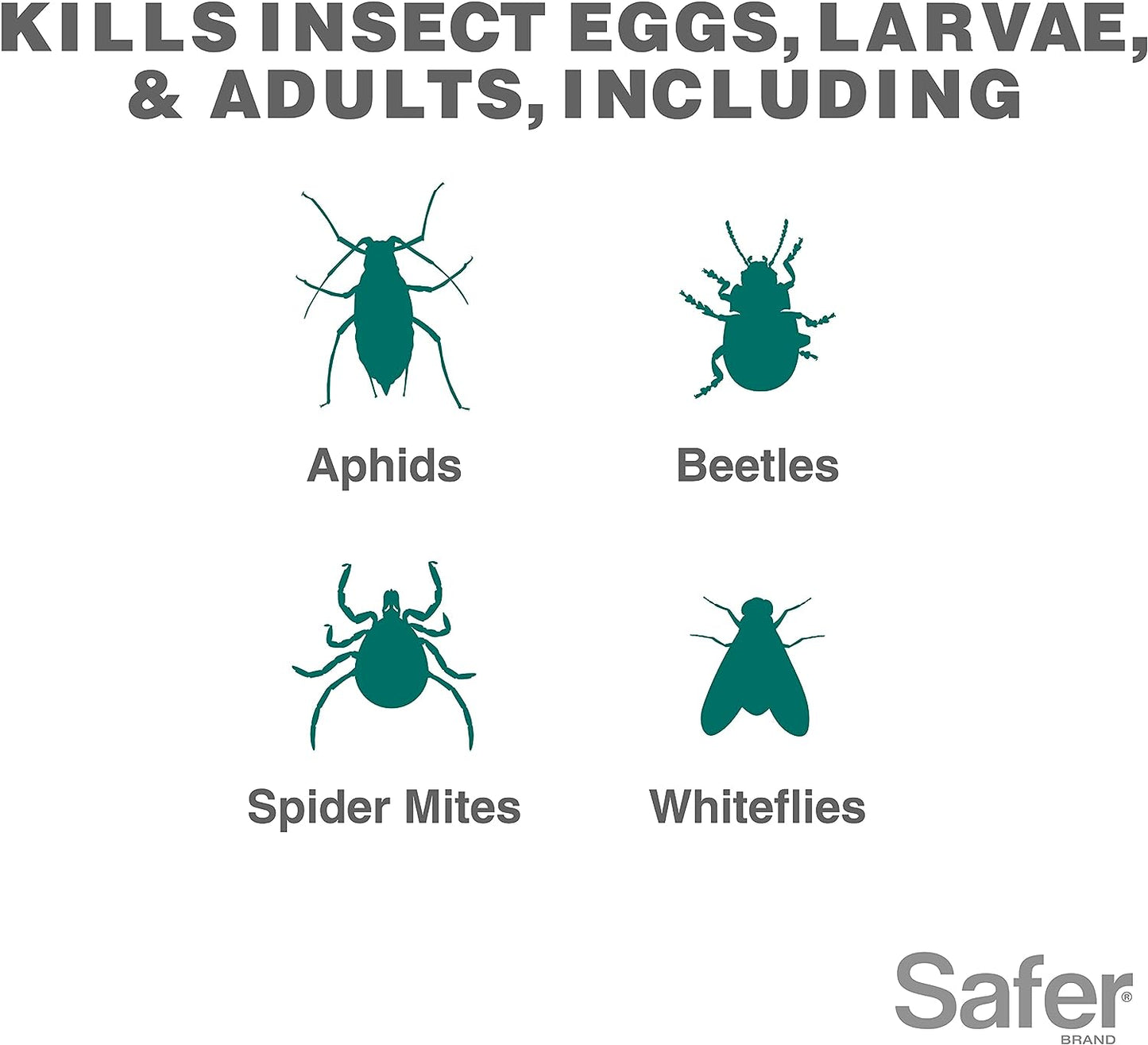 Safer Brand Neem Oil Concentrate Fungicide, Miticide, Insecticide For Organic Gardening - 16 fl oz / 473ml