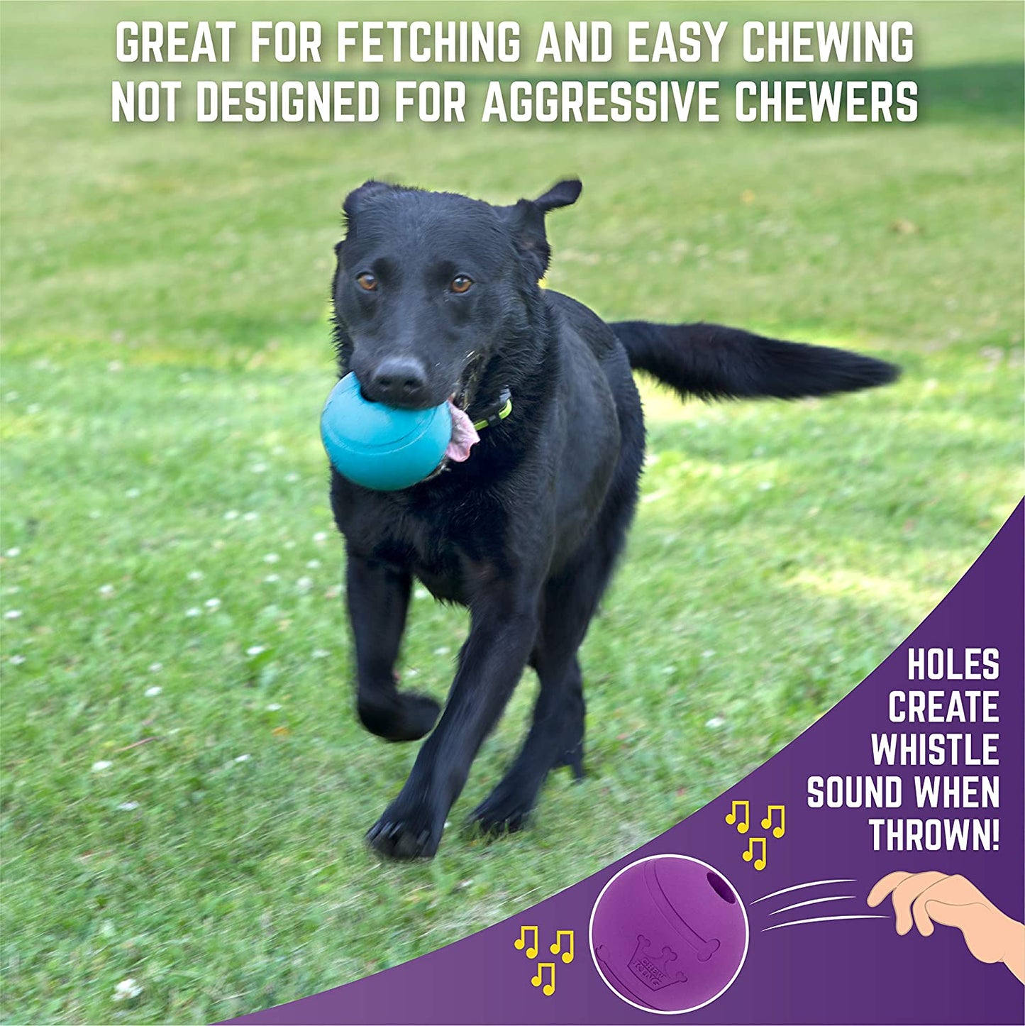 Chew King Fetch Rubber Balls for Pets Blue and Violet Large 40-75 lbs,  2 Count