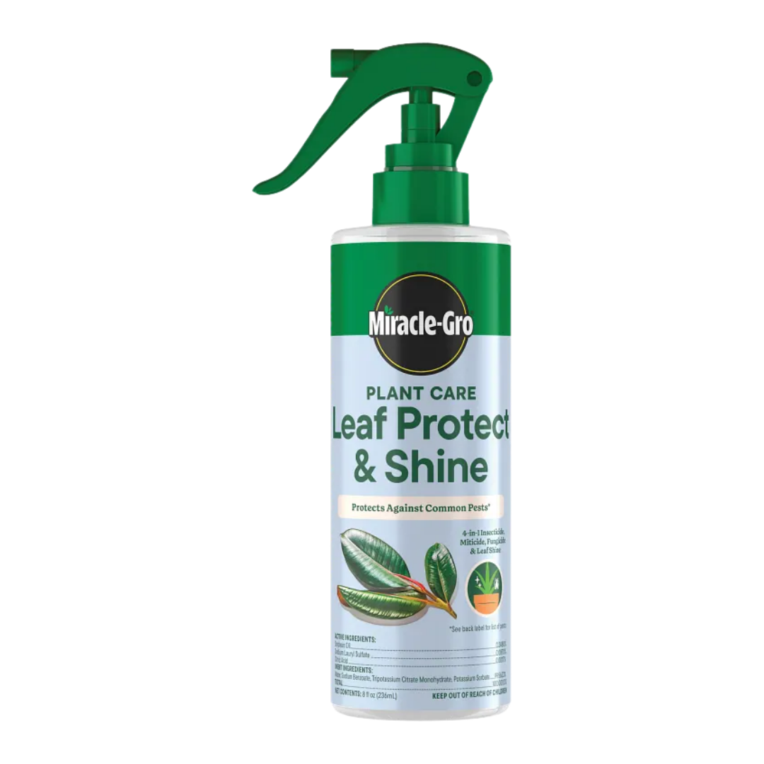 Miracle-Gro Plant Care Leaf Protect & Shine, 8 oz / 236 ml