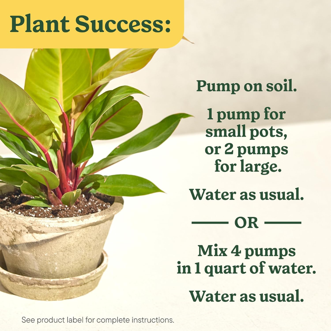 Miracle-Gro Indoor Plant Food for All Plants, 8.4 oz / 240 g
