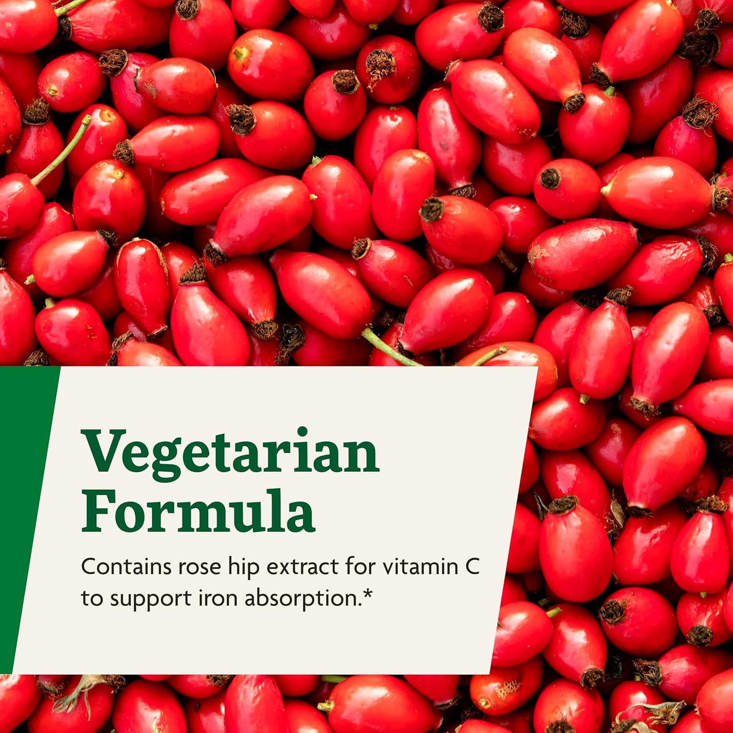 Salus Floradix Iron + Herbs Liquid Iron And Vitamin Formula Supplement 8.5 fl oz / 250ml