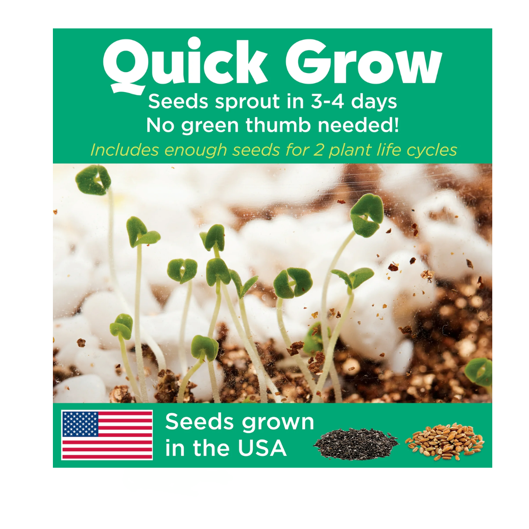 Creativity for Kids Grow 'N Glow Terrarium Kit for Kids