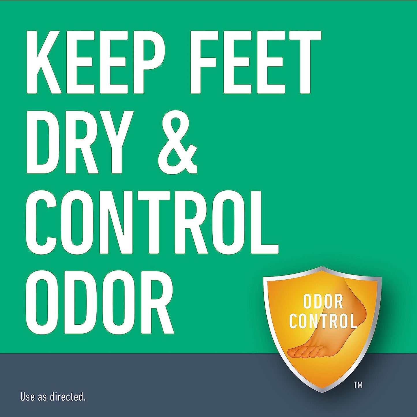 Lotrimin Daily Topical Starch Skin Protectant  Sweat & Odor Control Medicated Foot Powder 6.25 oz/177g