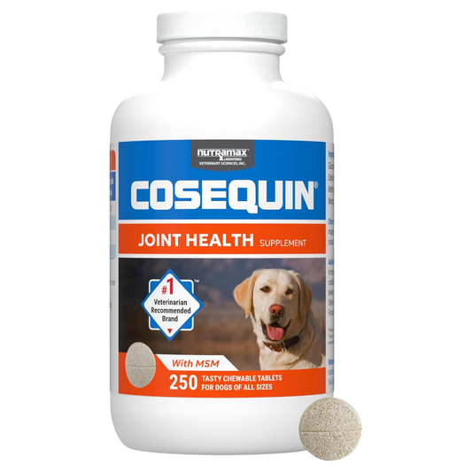 Nutramax Cosequin Joint Health Supplement with MSM for Dogs, 250 Tablets