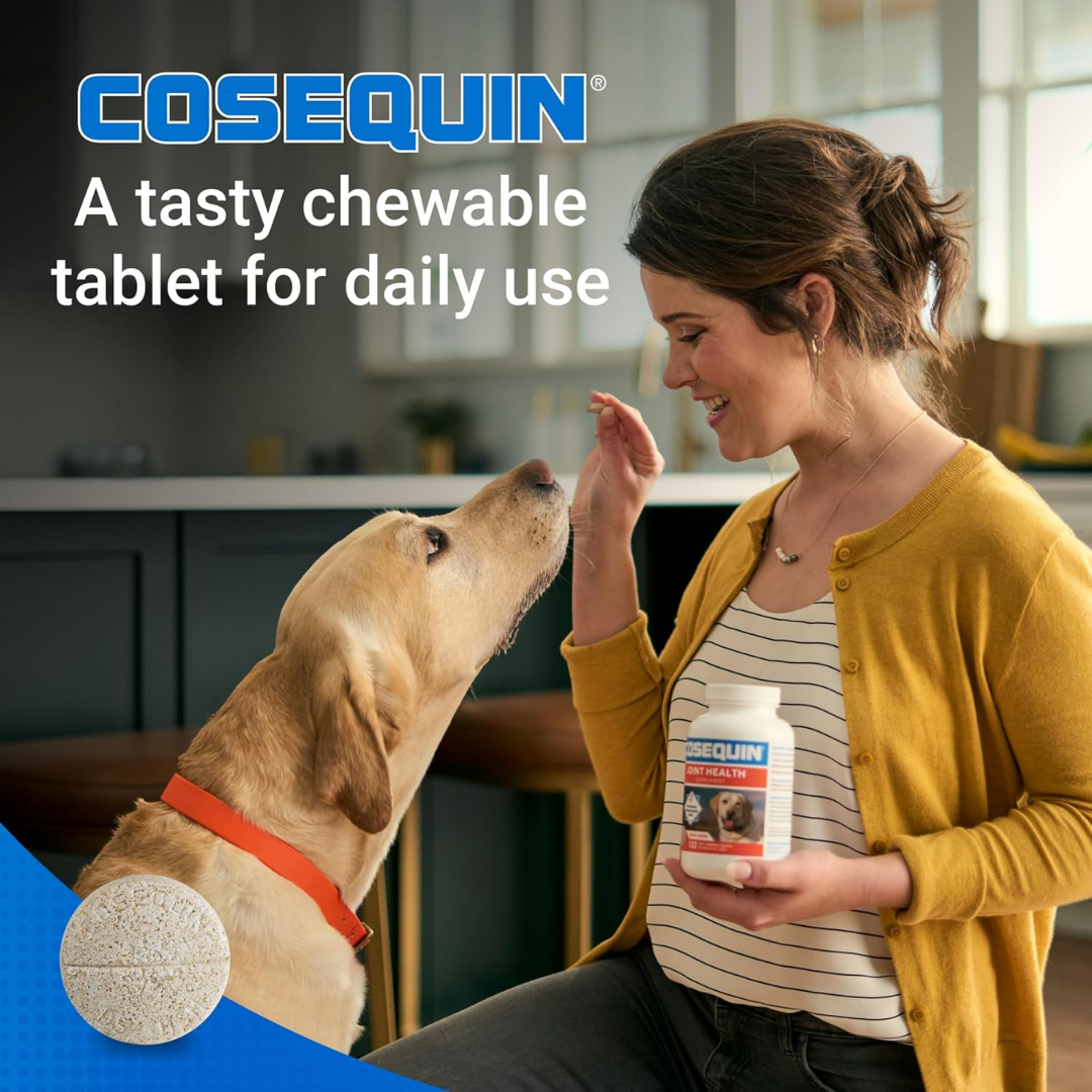 Nutramax Cosequin Joint Health Supplement with MSM for Dogs, 250 Tablets