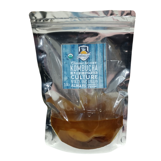 Fermentaholics Classic Scoby Kombucha Live Starter Culture, 15 oz