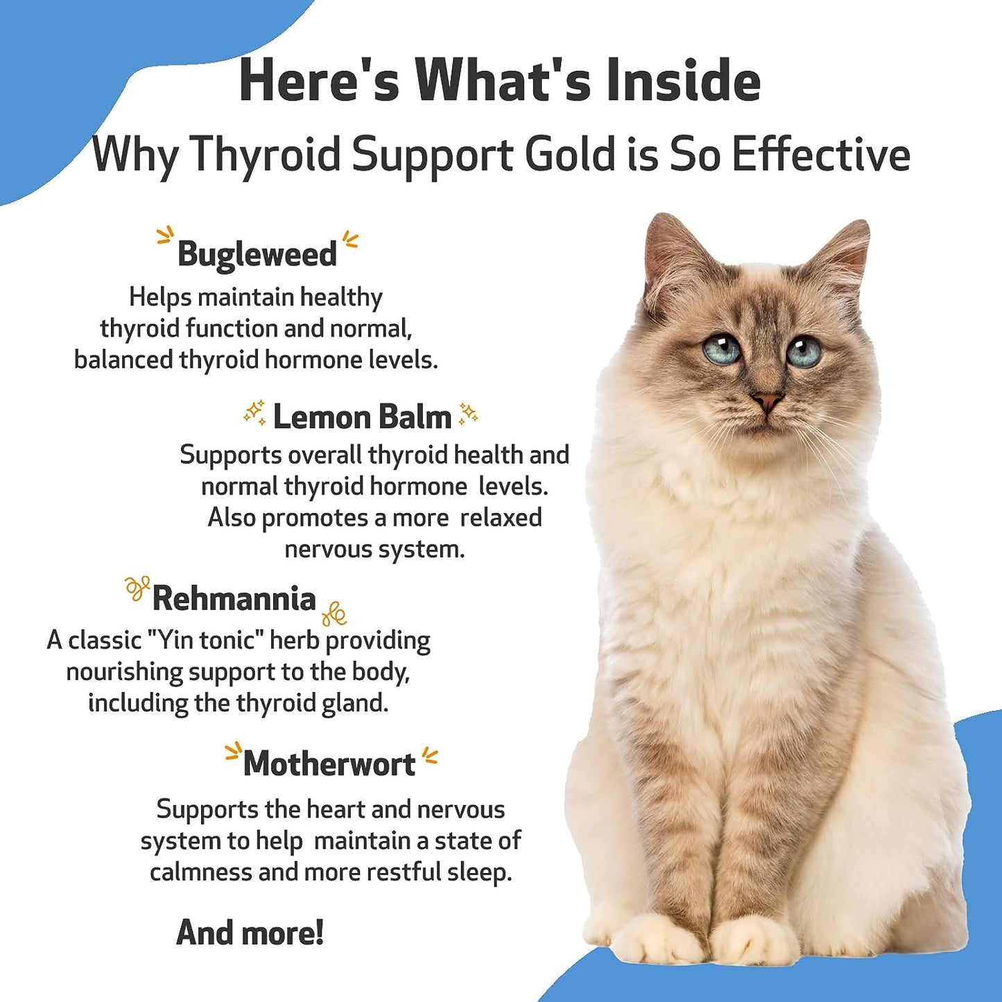 Pet Wellbeing Thyroid Support Gold 59ml