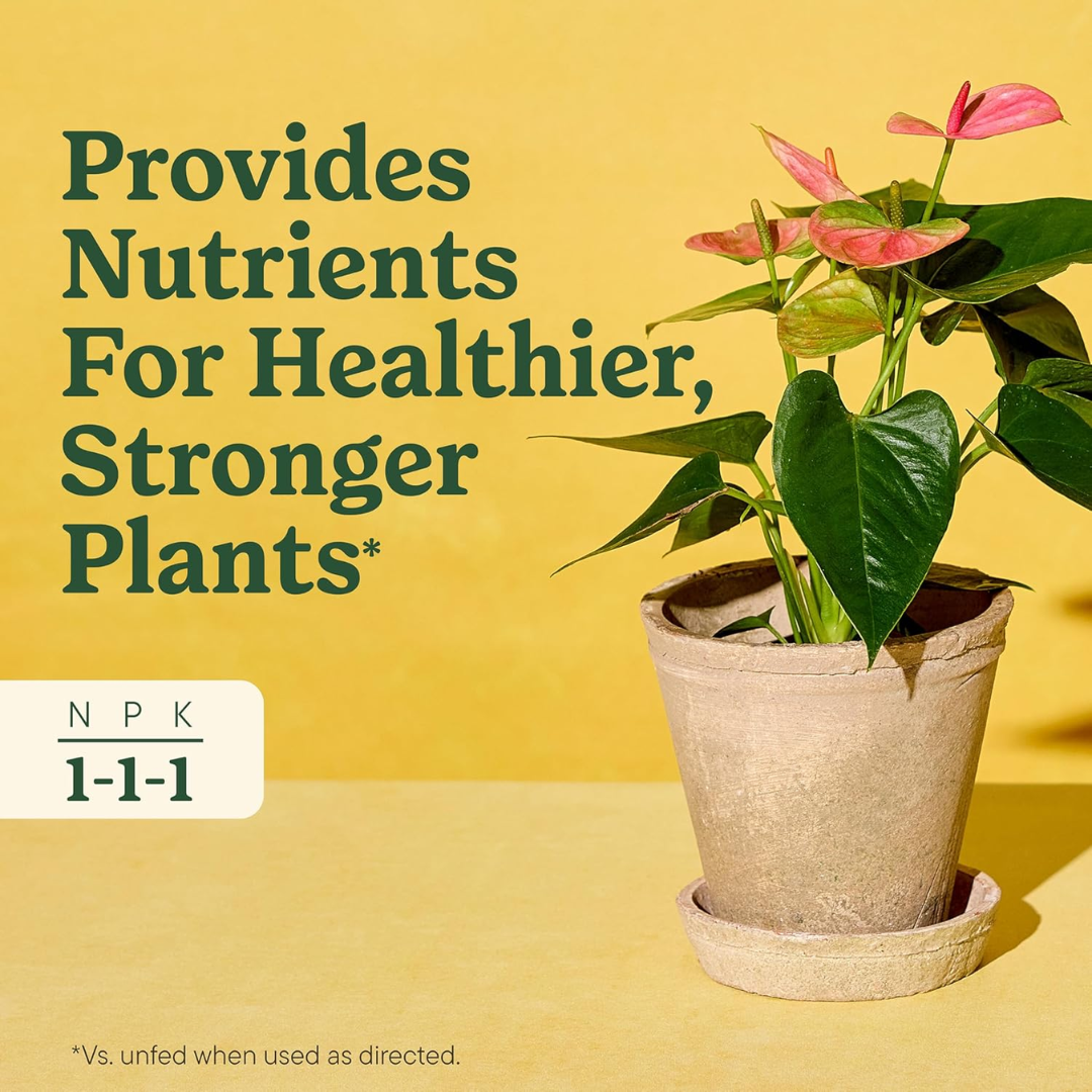 Miracle-Gro Indoor Plant Food for All Plants, 8.4 oz / 240 g