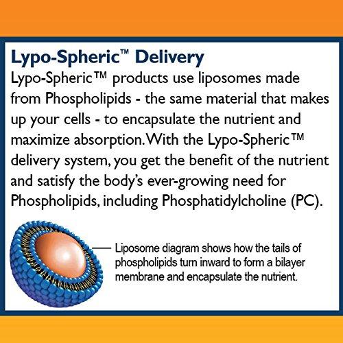 EXPIRY 11/2025 Lypo-Spheric Vitamin C 1000 mg Liposome Encapsulated – 1 Count