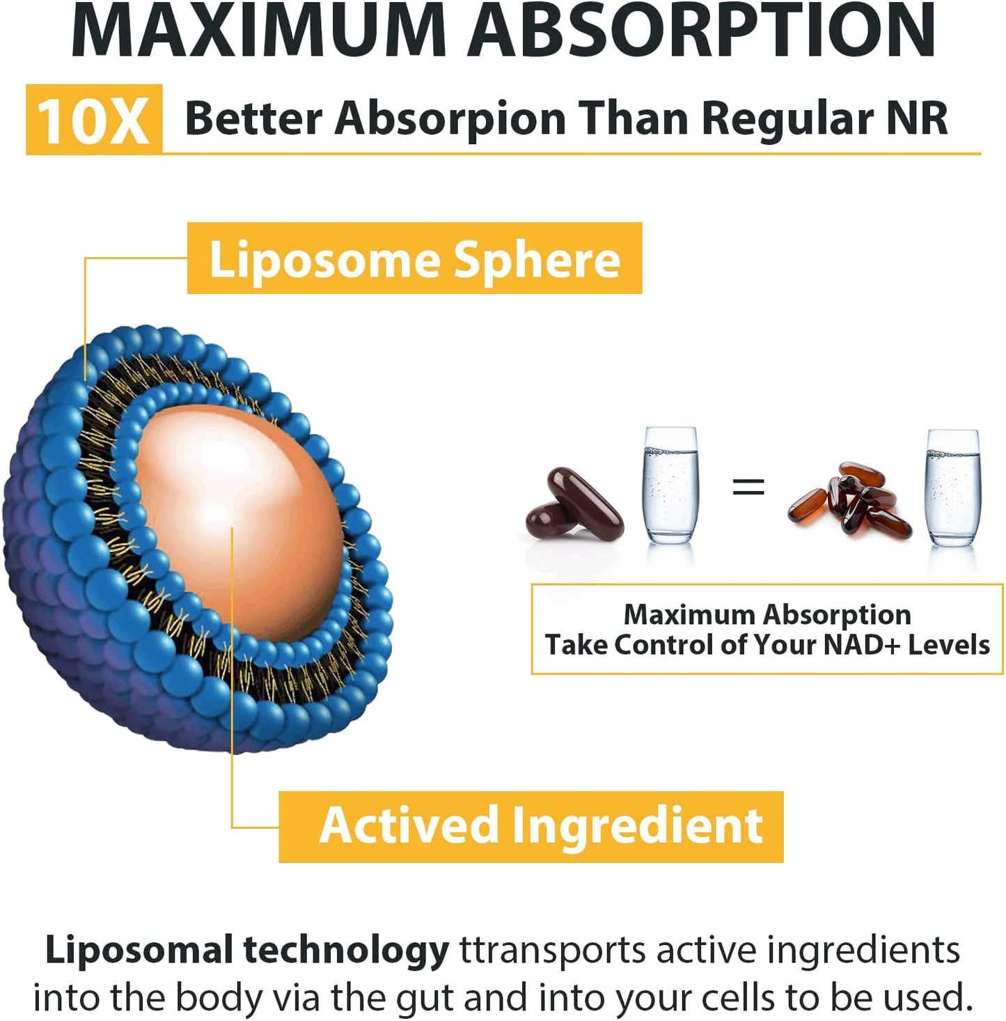 Orgabay Liposomal Nicotinamide Riboside 2000mg Supplement 60 Softgels