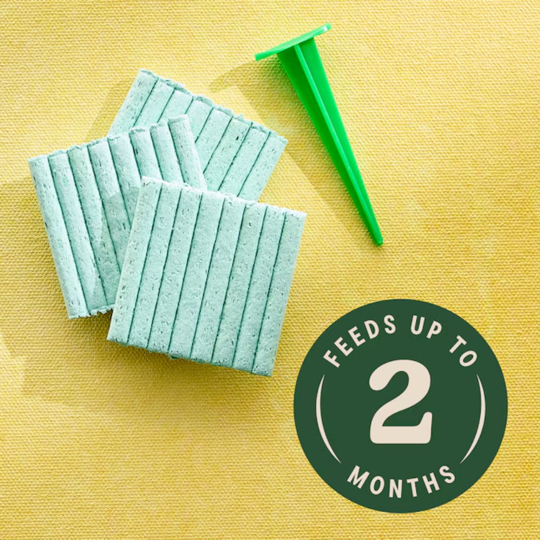 Miracle-Gro Indoor Plant Food Spikes, 24 Spikes (NPK 6-12-6)