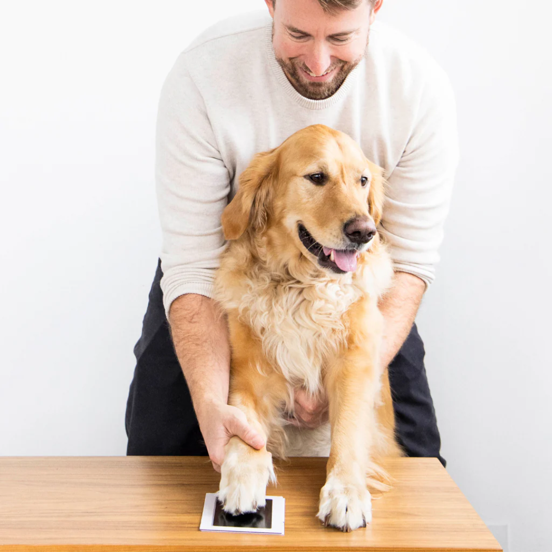 Pearhead Clean Touch Ink Pad For Pet's Paw Medium/Large (1 Count)