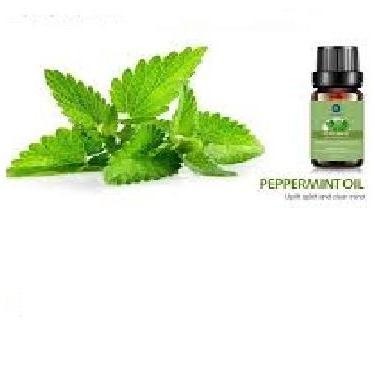 Lagunamoon 100% Pure Essential Oil 10ml (Peppermint)