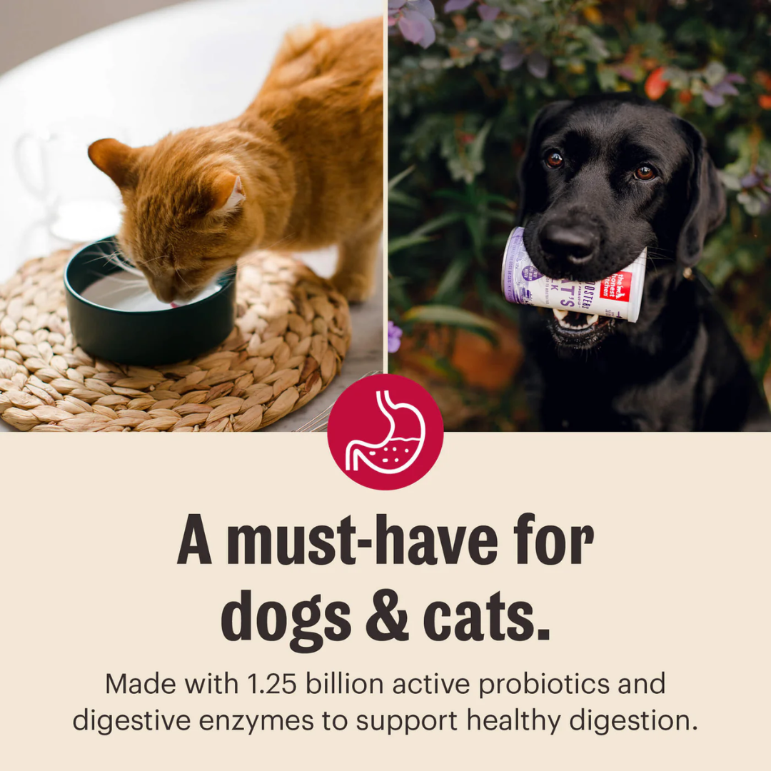The Honest Kitchen Daily Boosters Instant Goat's Milk Powder for Dogs and Cats, 5.2 oz / 147.4 g