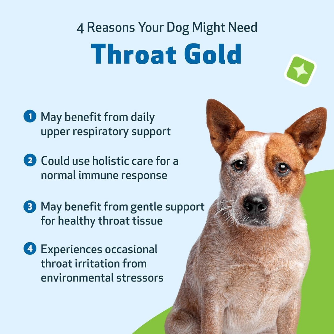 Pet Wellbeing Throat Gold for Dogs, 2 oz / 59 ml