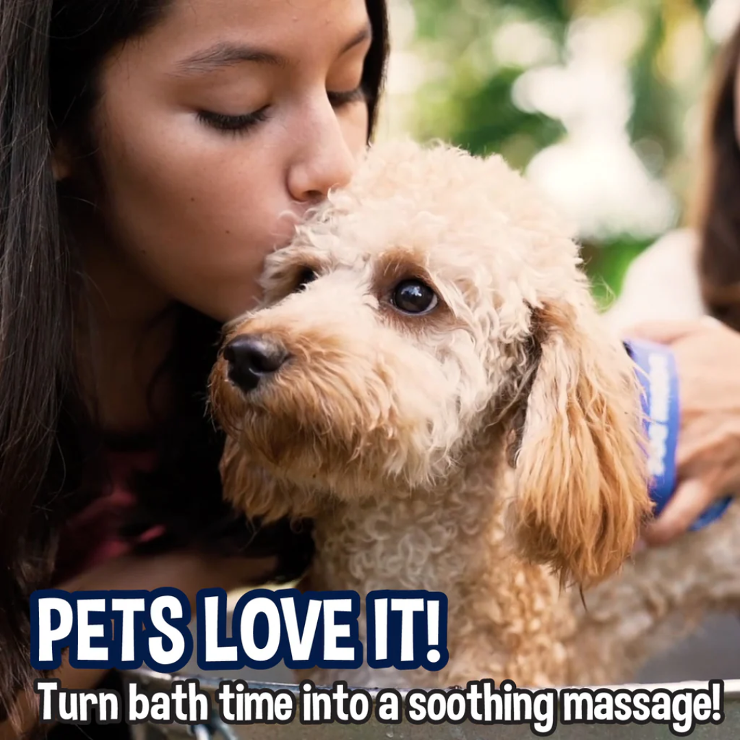 Bodhi Dog Shampoo Brush Pet Shower & Bath Supplies for Cats & Dogs - Blue, 1 Count