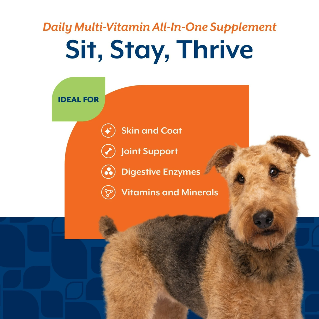 Trial Size NaturVet All-In-One Daily Essentials for Dogs, 10 Soft Chews