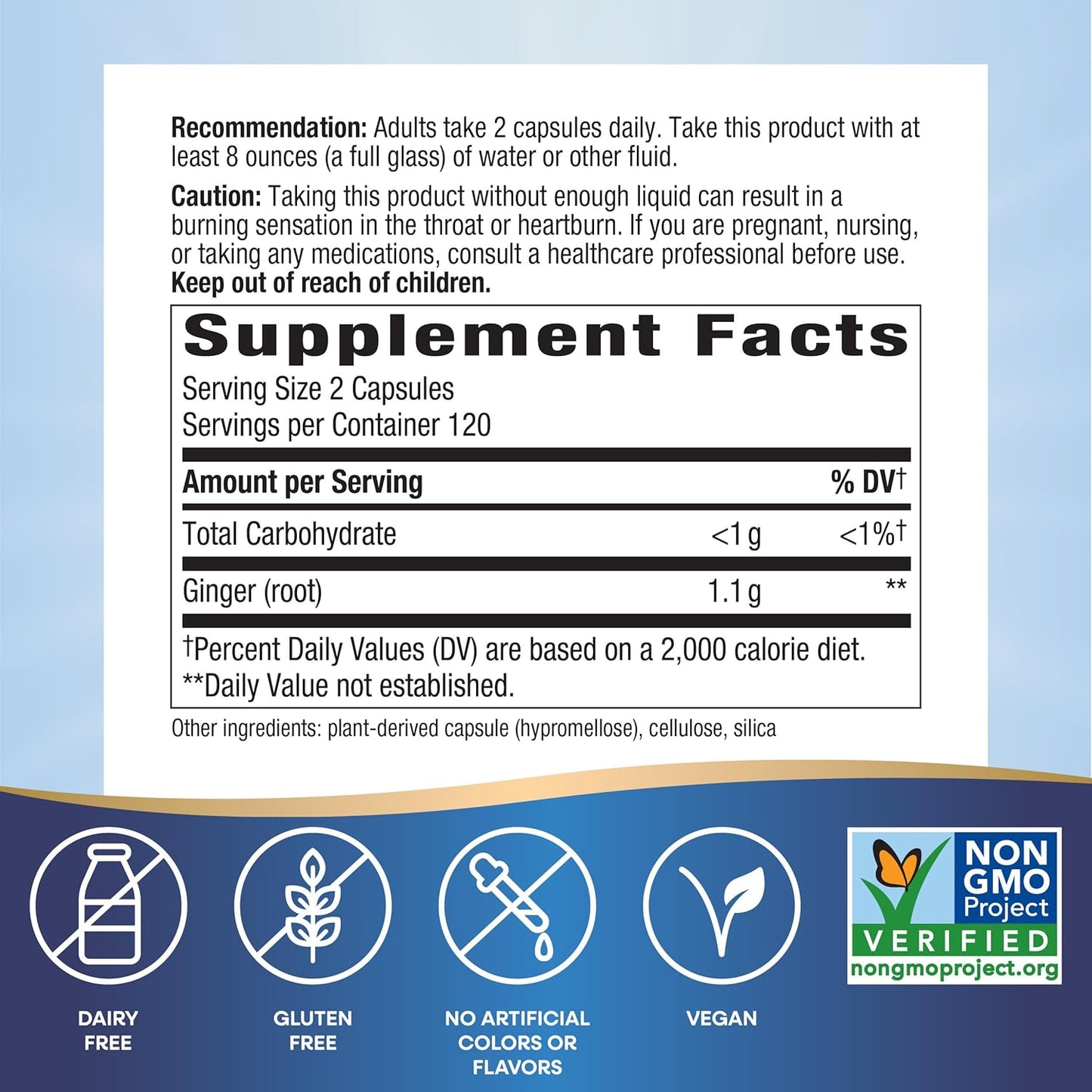 Nature's way Ginger Root for Digestive Comfort 1100mg Supplement 240 Vegan Capsules