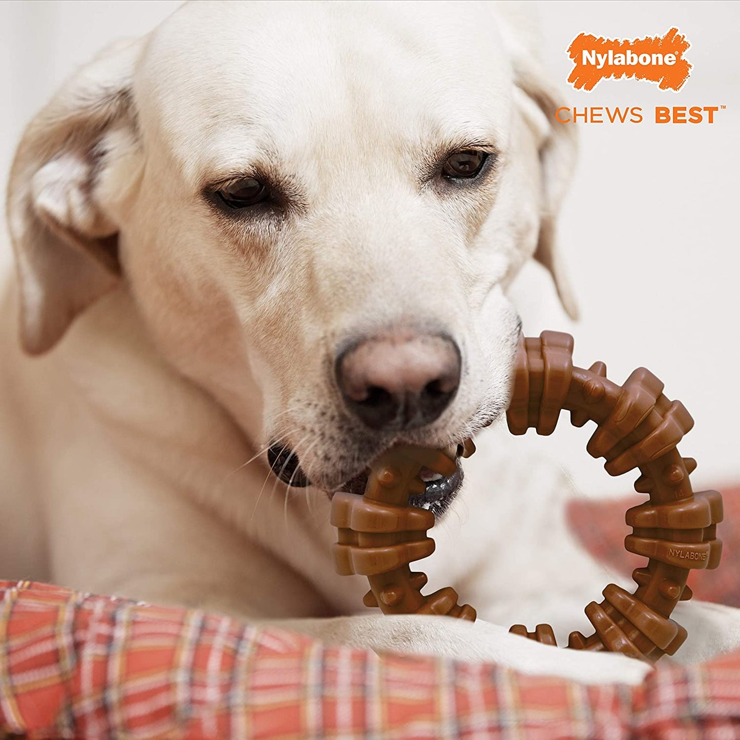 Nylabone Dura Chew Power Chew Textured Ring, for X-Large/Souper 50+ LBS Dogs Chew Toy (NCF315P)