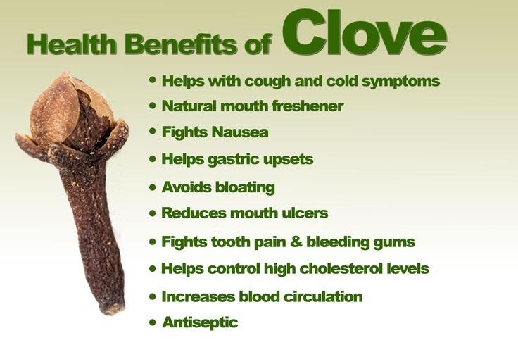 Majestic Pure Aromatherapy Essential Oils 10ml (Clove Leaf)