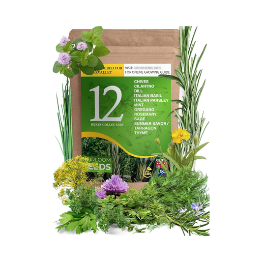 FarmerValley 12 Heirloom Culinary & Medicinal Herb Seeds Variety Pack