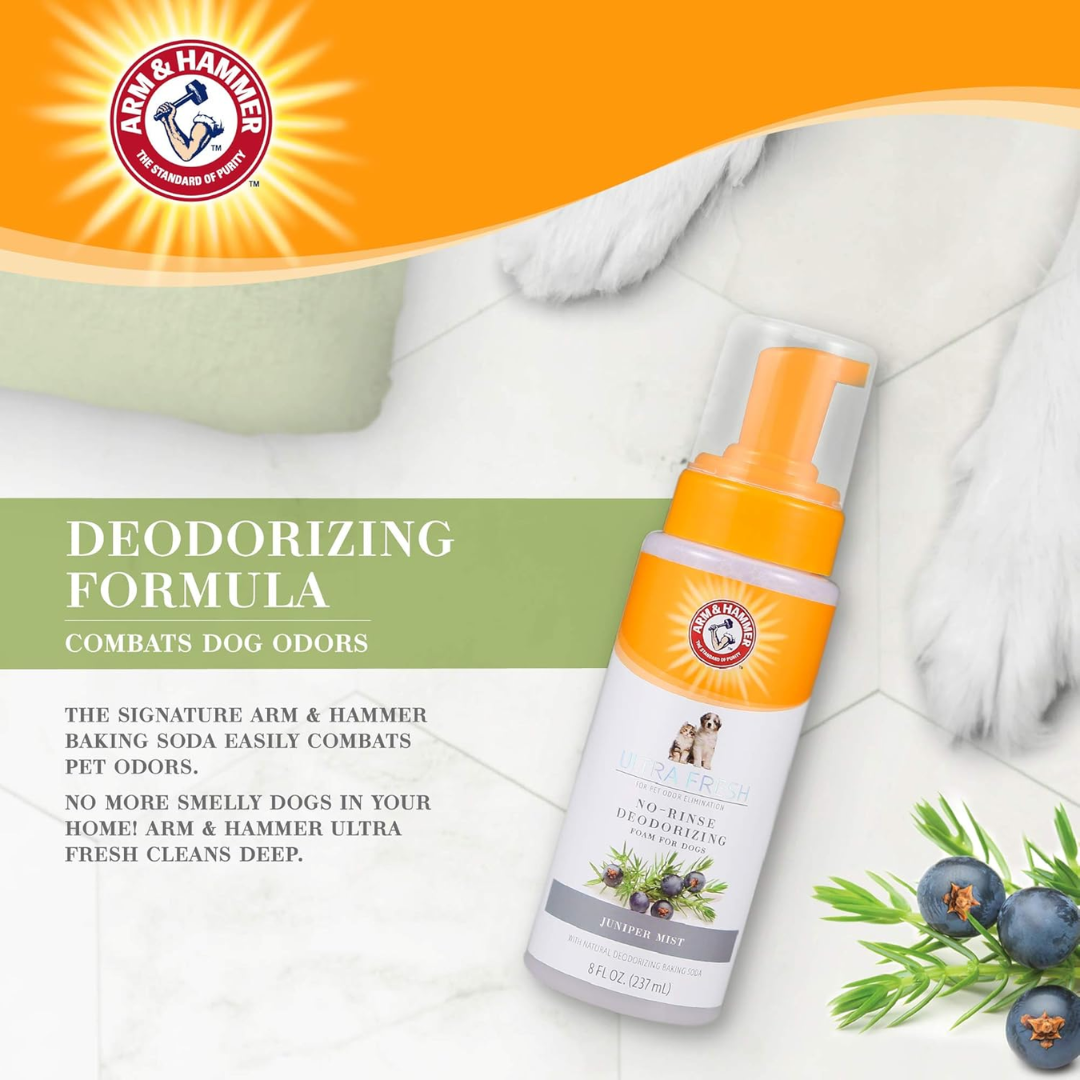 Arm & Hammer Ultra Fresh No-Rinse Deodorizing Foam for Dogs Juniper Mist, 8 oz / 237 ml (NO CAP)