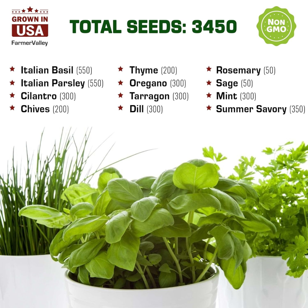 FarmerValley 12 Heirloom Culinary & Medicinal Herb Seeds Variety Pack