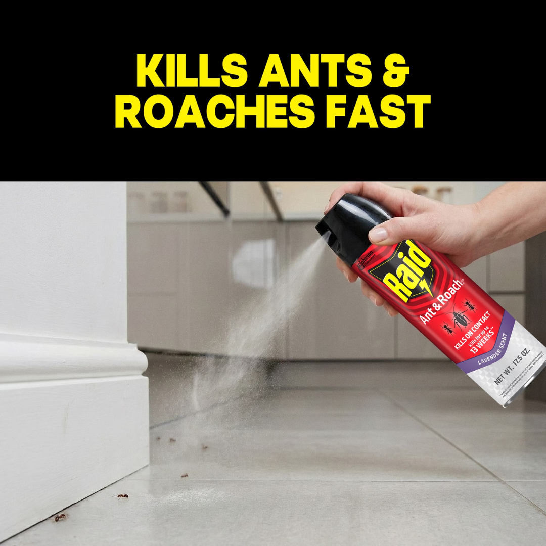 Raid Ant & Roach Defense System Lavender Scent, 17.5 oz