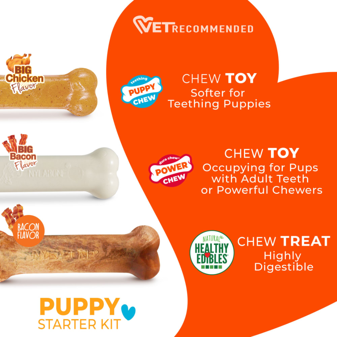 Nylabone Puppy Chew Starter Kit Chew Toy with Chew Treat Chicken & Bacon Flavor (N201PSKP)