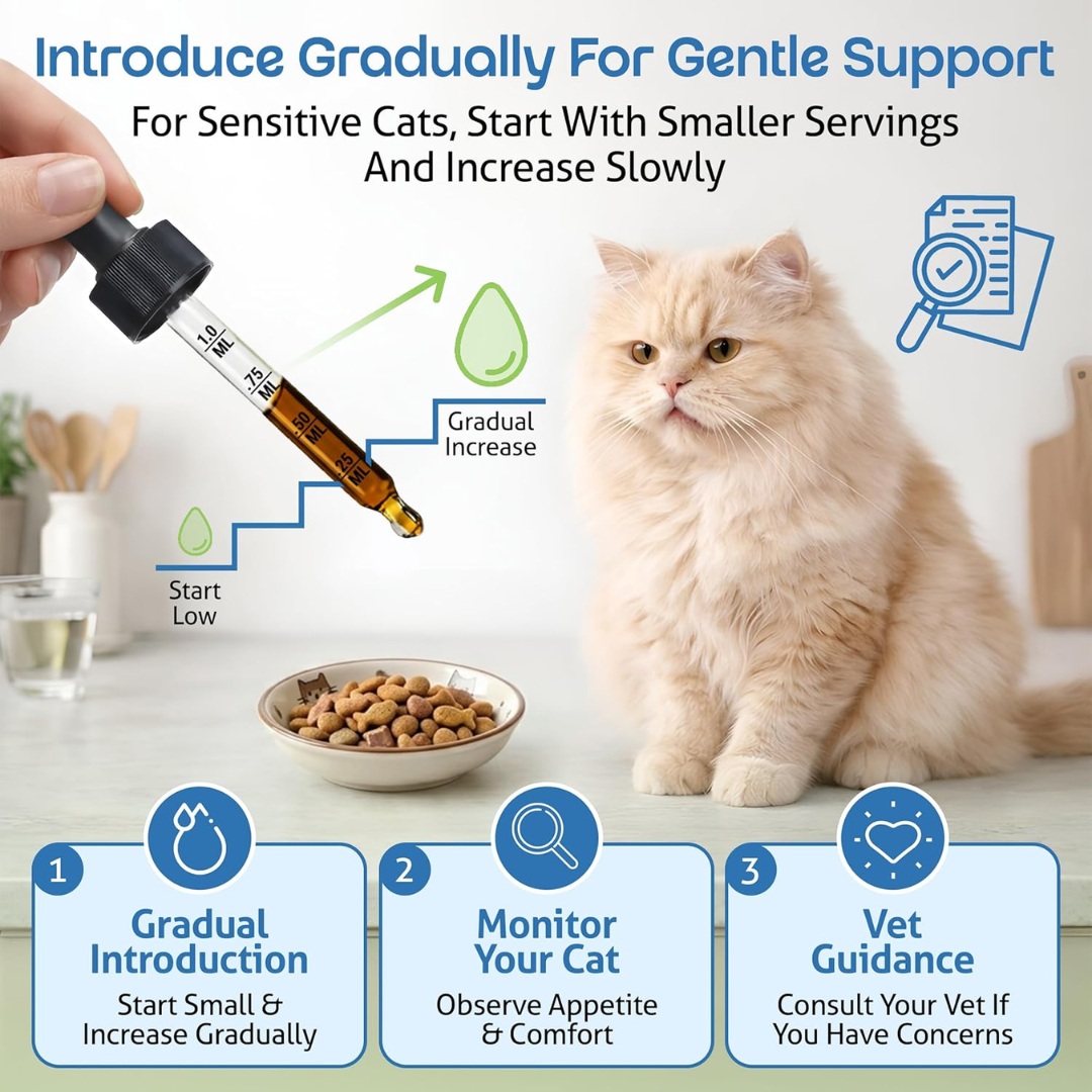 Pet Wellbeing Kidney Support Gold for Cats, 2 oz / 59 ml