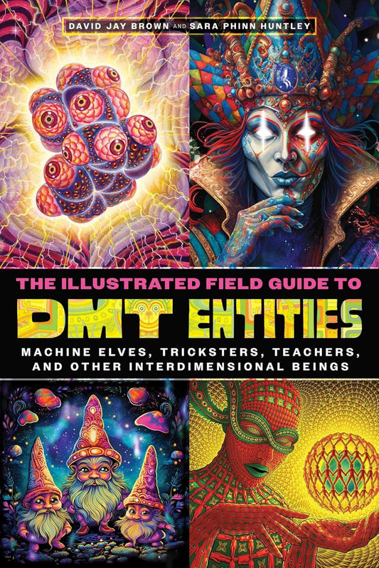 The Illustrated Field Guide to DMT Entities: Machine Elves, Tricksters, Teachers, and Other Interdimensional Beings