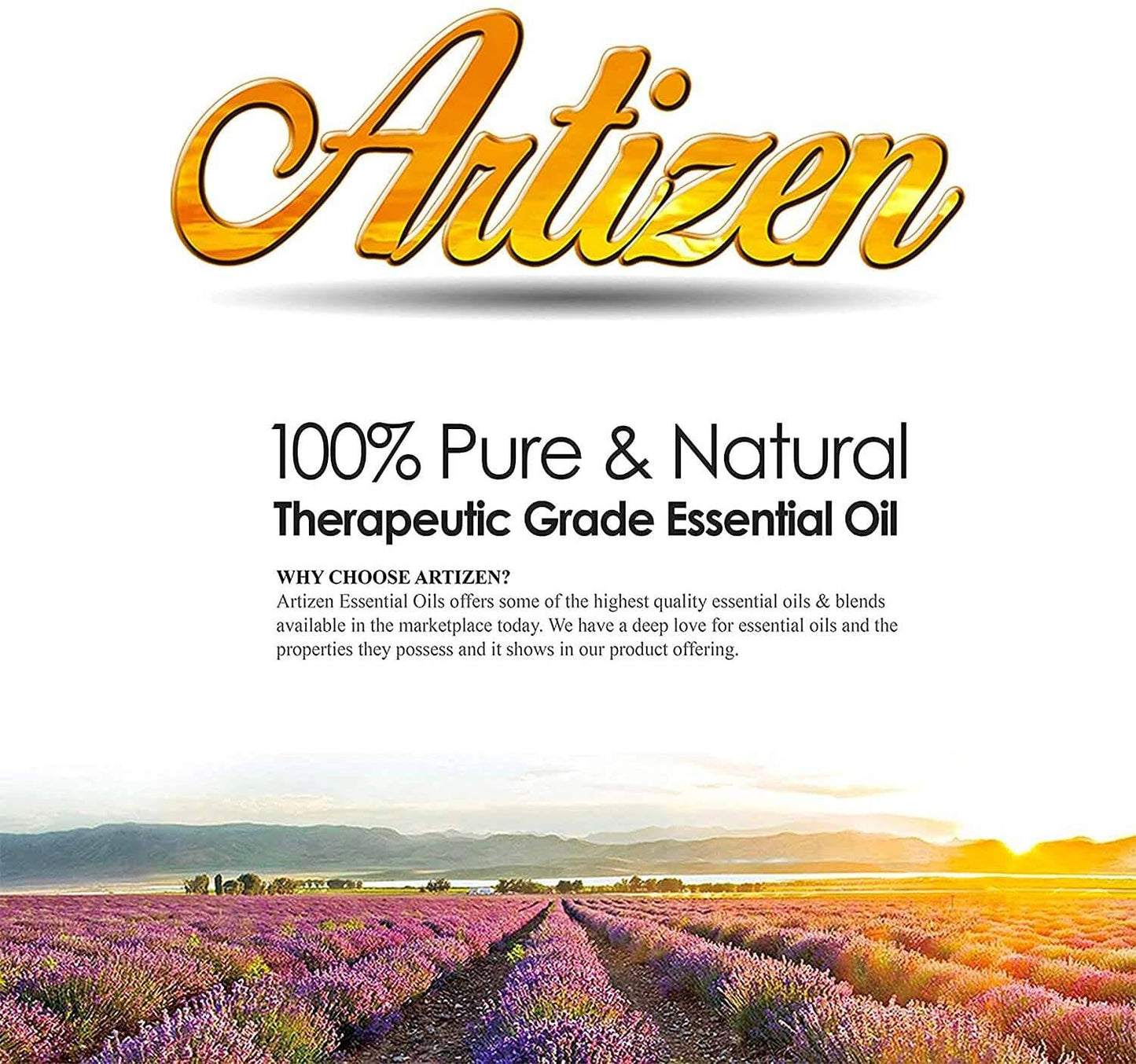 Artizen Cinnamon 100% Pure & Natural Therapeutic Grade Essential Oil 30 mL