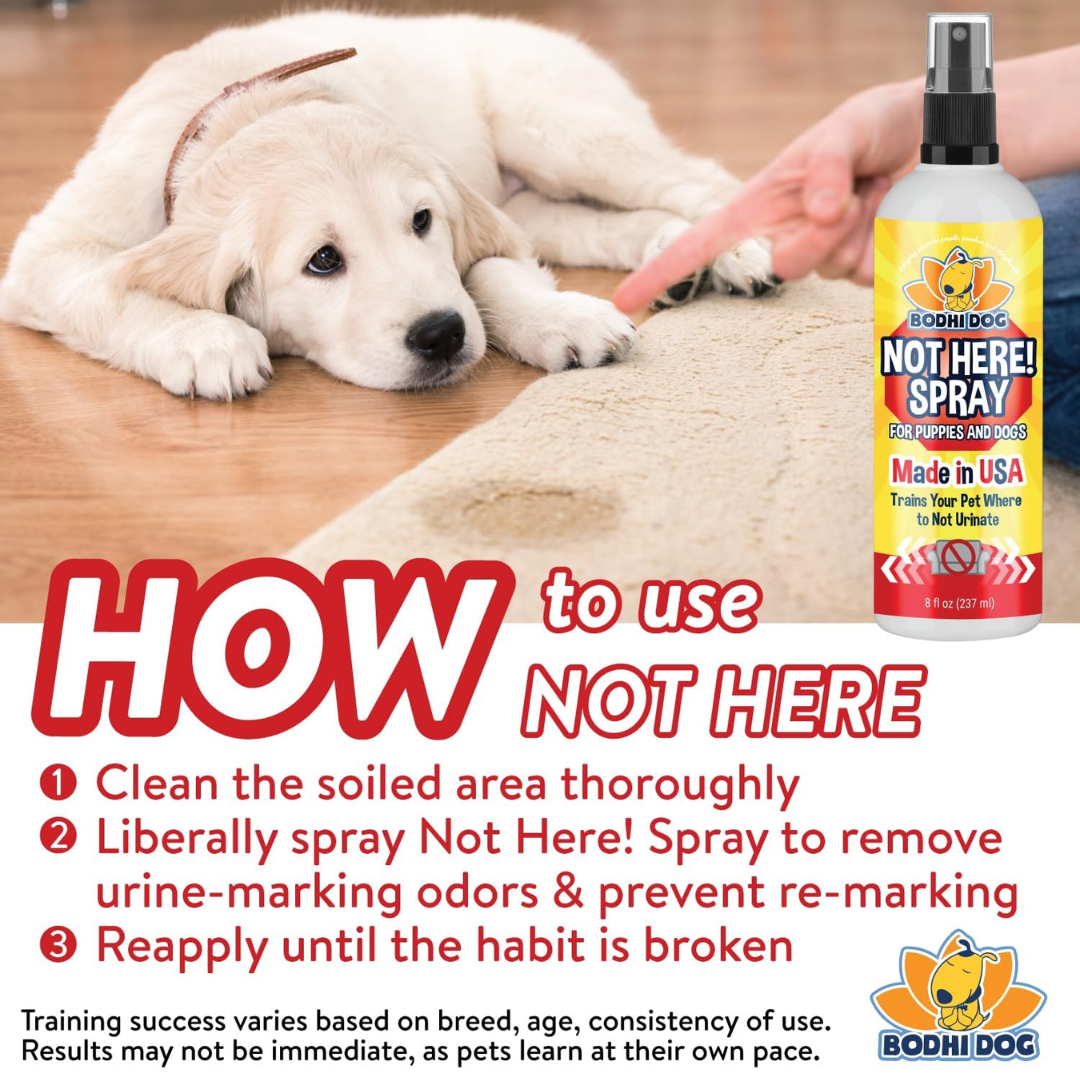 Bodhi Dog Premium Not Here! Pet Training Spray, 8 oz / 237 ml