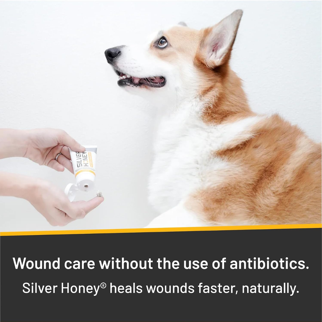 Absorbine Silver Honey Hot Spot & Wound Care Extra Strength Ointment, 2 oz / 56.7 g
