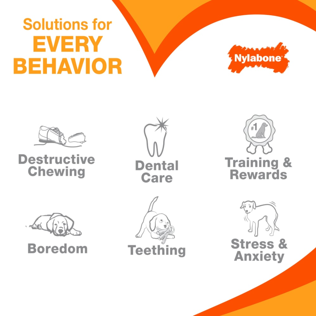 Nylabone Puppy Chew Starter Kit Chew Toy with Chew Treat Chicken & Bacon Flavor (N201PSKP)