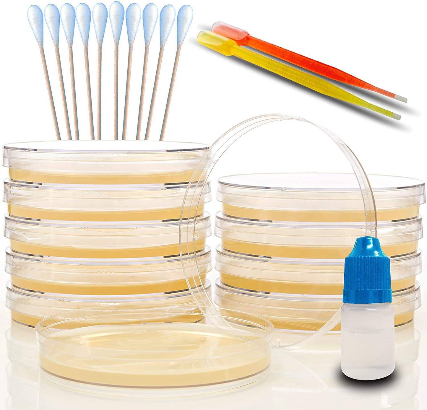 Evviva Sciences Prepoured Agar Plates Science Project Kit, Have Fun Learning Microbiology Now