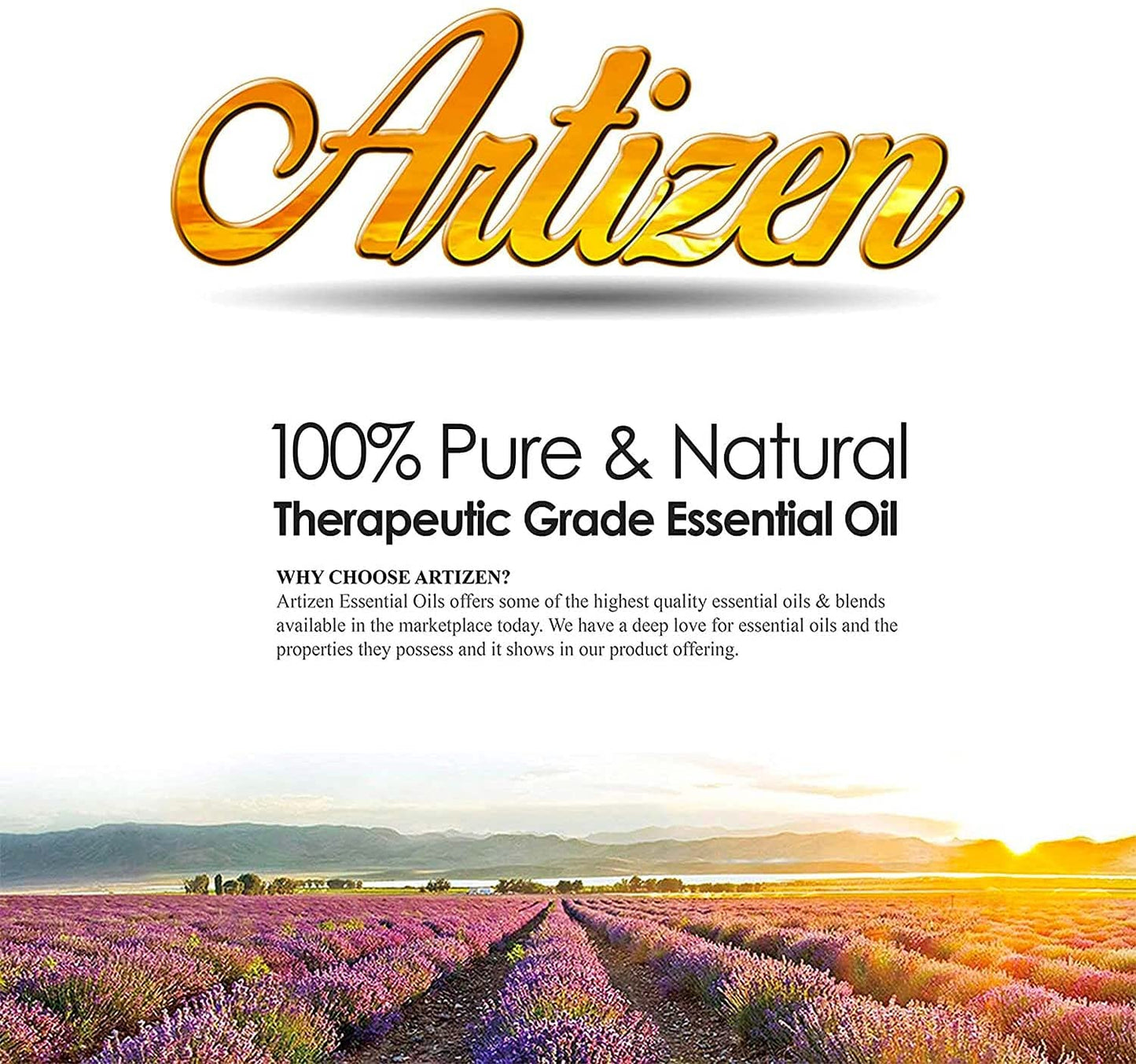 Artizen Cinnamon Essential Oil 30 mL (1 Bottle)