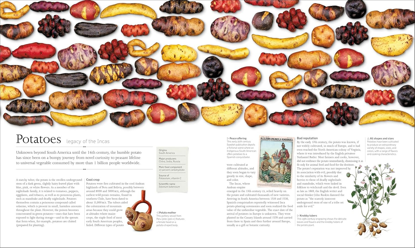The Food Book: The Stories, Science, and History of What We Eat, New Edition ( DK )