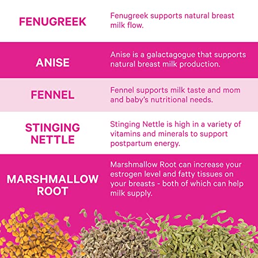 PinkStork Lactation Tea Organic Blackberry Lemonade Nursing Tea, Supports Breastfeeding 15 Sachets PACKAGING MAY VARY