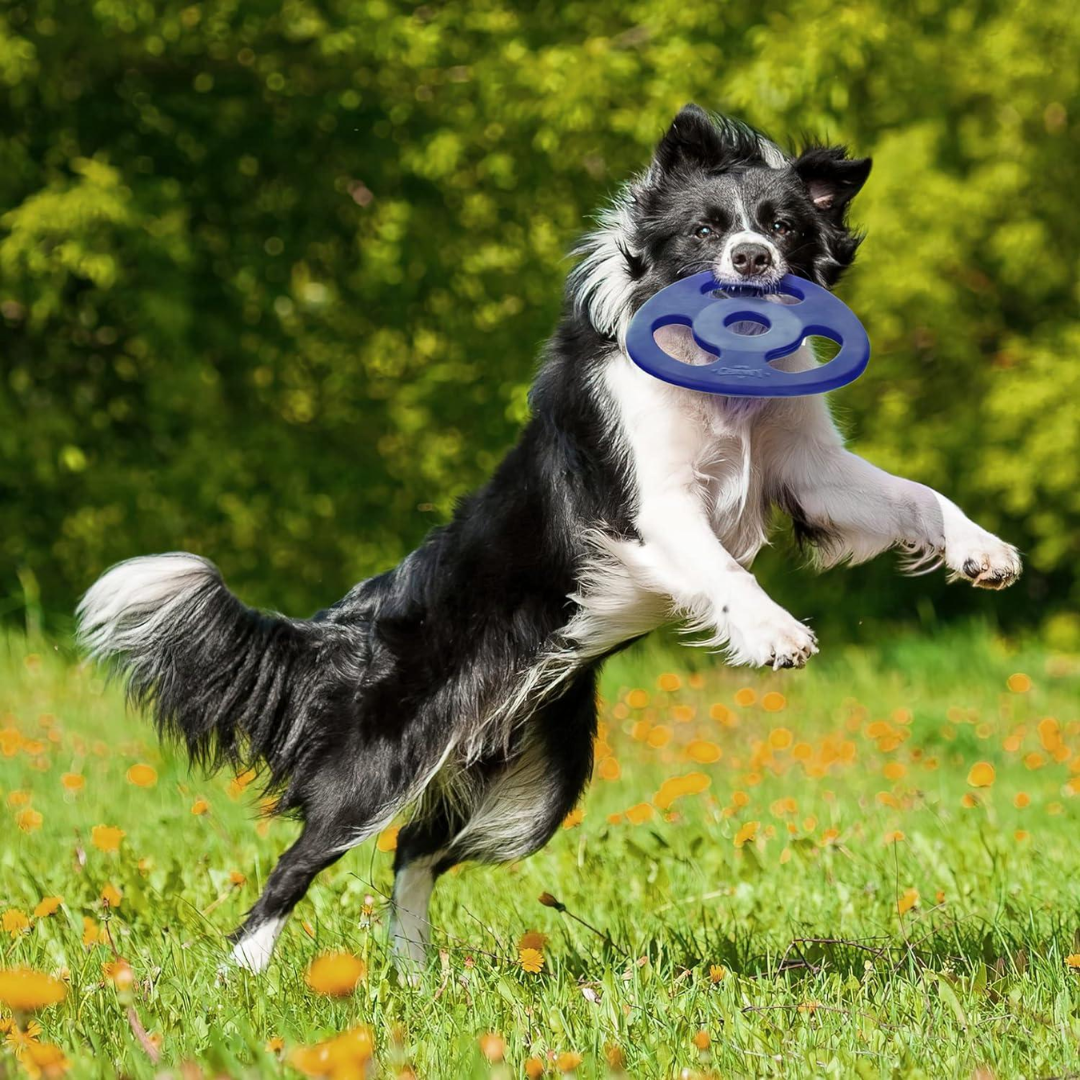 Super Chewy Tough Flying Disc for Medium and Large Dogs