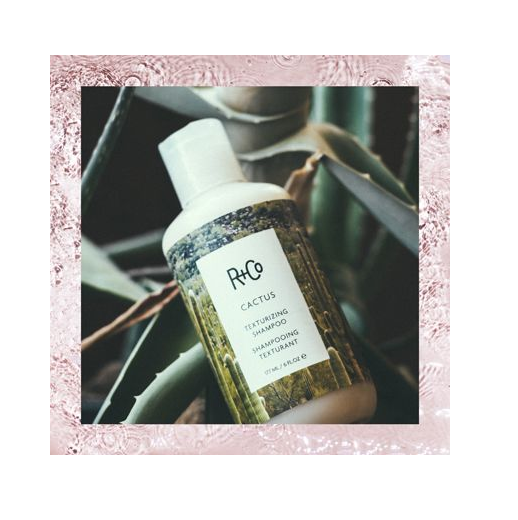 R+Co CACTUS Texturizing Shampoo 6 oz