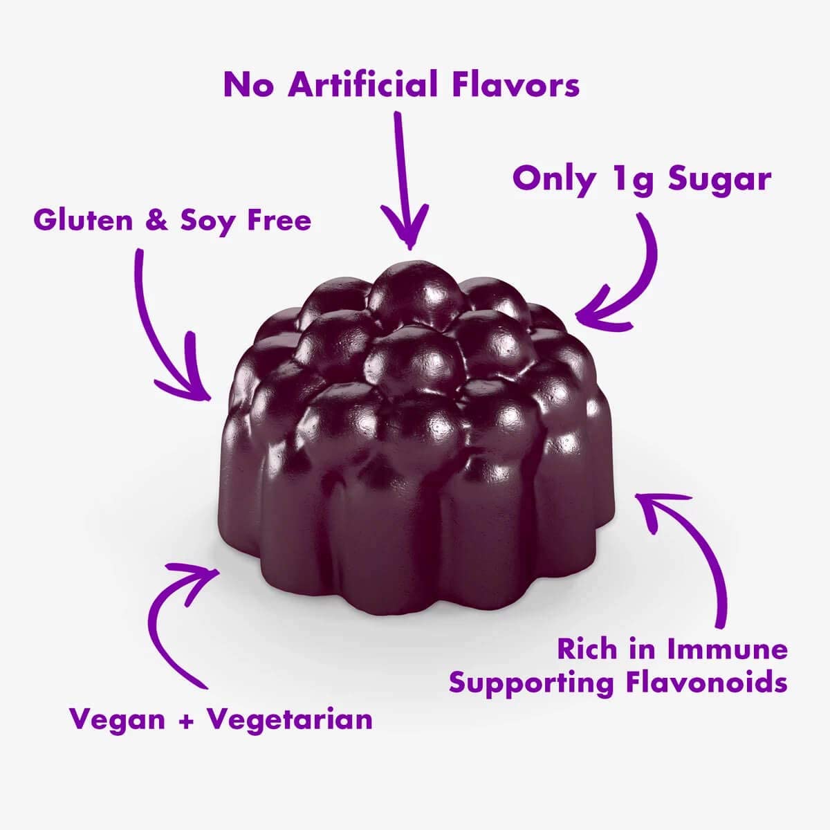 Sambucol Black Elderberry Gummies with Vitamin C & Zinc, 30 Gummies
