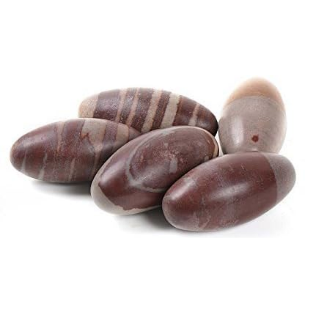 11 pc 1 Inch Narmada River Shiva Lingam Stone Set Natural Smooth Finish With Storage Pouch