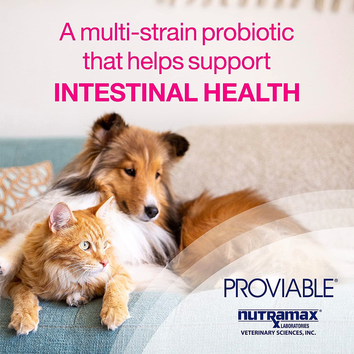 Nutramax Laboratories Proviable-DC Digestive Health Supplement For Dogs And Cats 30 Capsules
