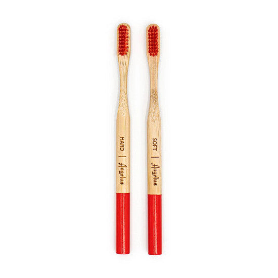 Angelus Detail Cleaning Brush / 2 Pack (1 Hard Bristle / 1 Soft Bristle)